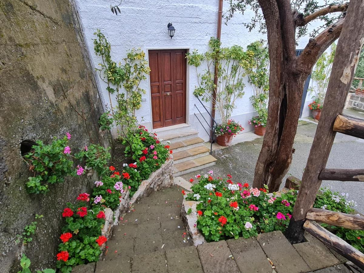 Casa Betania Da Peppe Villa Sorrento Kültér fotó
